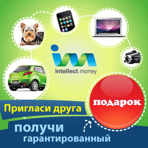 Платежная система IntellectMoney